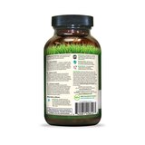 Irwin Naturals Healthy Brain All-Day Focus, 60 CT, thumbnail image
