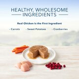 Blue Buffalo Healthy Gourmet Natural Adult Pate Wet Cat Food, Indoor Chicken Entree, 5.5 oz, thumbnail image