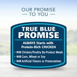 Blue Buffalo Healthy Gourmet Natural Adult Pate Wet Cat Food, Indoor Chicken Entree, 5.5 oz, thumbnail image