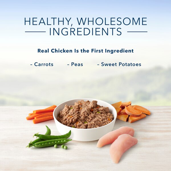 Blue Buffalo Homestyle Recipe Natural Adult Wet Dog Food
