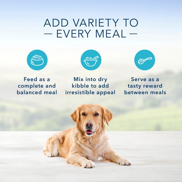 Blue Buffalo Homestyle Recipe Natural Adult Wet Dog Food