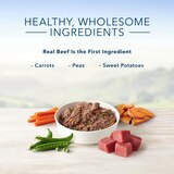 Blue Buffalo Homestyle Recipe Natural Adult Wet Dog Food, thumbnail image