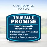 Blue Buffalo Homestyle Recipe Natural Adult Wet Dog Food, thumbnail image