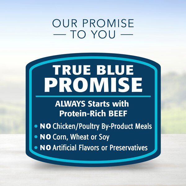 Blue Buffalo Homestyle Recipe Natural Adult Wet Dog Food
