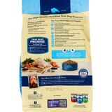 BLUE Buffalo Dry Puppy Food, Chicken & Brown Rice, 5 lb, thumbnail image
