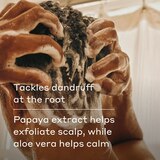 Harry's Extra-Strength Anti-Dandruff 2-in-1 Shampoo & Conditioner, thumbnail image