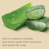Hairitage Outta My Hair Gentle Daily Shampoo, 13 OZ, thumbnail image