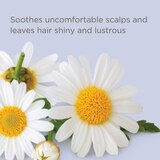 Hairitage Ahead of the Curl! Curl Creme, 6 OZ, thumbnail image