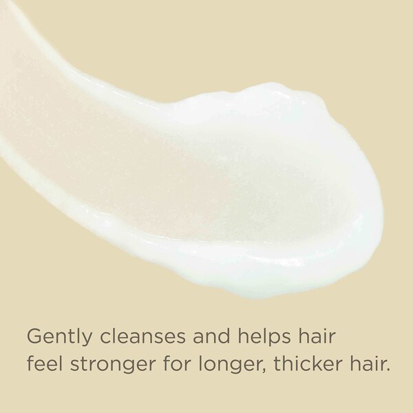 Hairitage Length Check Biotin Infused Shampoo, 13 OZ