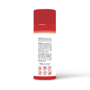 Alocane Maximum Strength Emergency Room Burn Spray