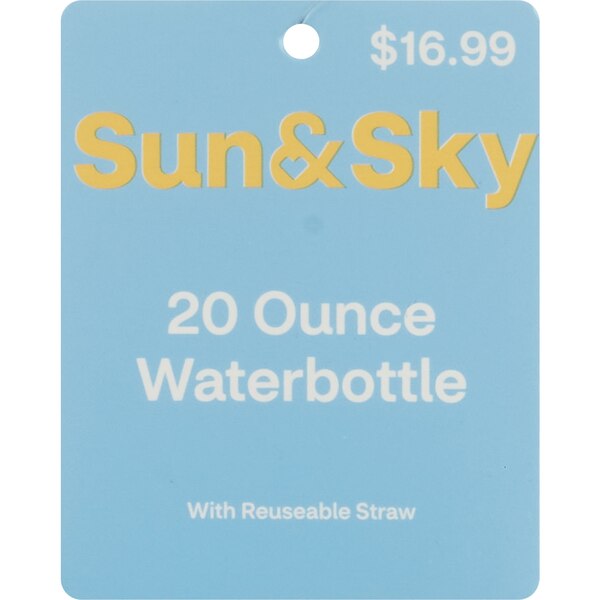 Sun & Sky Glass Water Bottle with Reusable Straw, 20 oz, Assorted Designs
