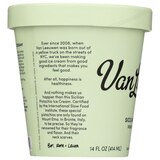Van Leeuwen, Sicilian Pistachio Ice Cream, 14 oz, thumbnail image