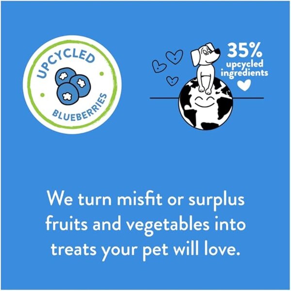 Shameless Pets The Tooth Berry Dental Stick Dog Treats