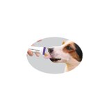Café Nara Lickable Peanut Butter Treat for Dogs, thumbnail image