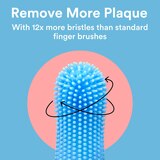 Jasper 360º Silicone Pet Finger Toothbrush, 2-Pack, Blue, thumbnail image
