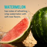 Liquid I.V. Hydration Multiplier Electrolyte Drink Mix, Watermelon, 10 CT, thumbnail image 3 of 8