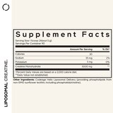 Codeage Liposomal Creatine Monohydrate Powder Supplement, Unflavored, 3-Month Supply, 90 Servings, thumbnail image