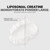 Codeage Liposomal Creatine Monohydrate Powder Supplement, Unflavored, 3-Month Supply, 90 Servings, thumbnail image