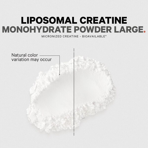 Codeage Liposomal Creatine Monohydrate Powder Supplement, Unflavored, 3-Month Supply, 90 Servings
