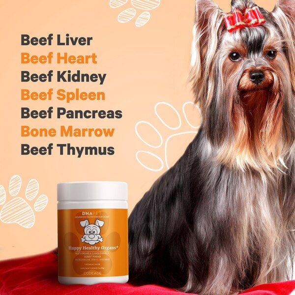 DNA PET Happy Healthy Organs Supplement for Dogs, 3 oz