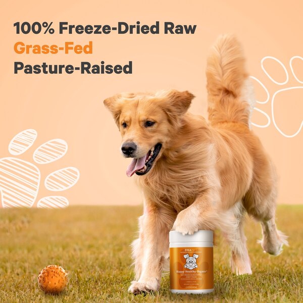 DNA PET Happy Healthy Organs Supplement for Dogs, 3 oz