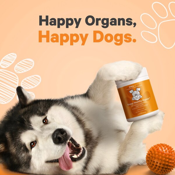 DNA PET Happy Healthy Organs Supplement for Dogs, 3 oz