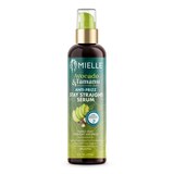 Mielle Avocado & Tamanu Anti-Frizz Stay Straight Serum,  8 OZ, thumbnail image