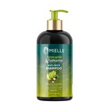 Mielle Avocado & Tamanu Anti-Frizz Shampoo, 12 OZ, thumbnail image
