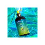 Mielle Avocado & Tamanu Anti-Frizz Shampoo, 12 OZ, thumbnail image