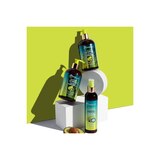 Mielle Avocado & Tamanu Anti-Frizz Shampoo, 12 OZ, thumbnail image