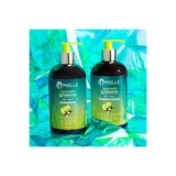 Mielle Avocado & Tamanu Anti-Frizz Conditioner, 13 OZ, thumbnail image 3 of 9