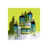 Mielle Avocado & Tamanu Anti-Frizz Conditioner, 13 OZ, thumbnail image 4 of 9