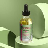 Mielle Rosemary Mint Light Scalp & Hair Strengthening Oil, 2 OZ, thumbnail image