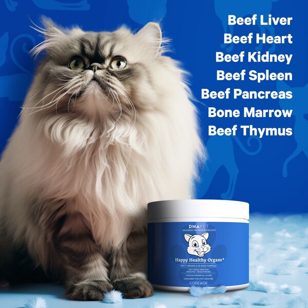 DNA PET Happy Healthy Organs for Cats, 1.48 oz
