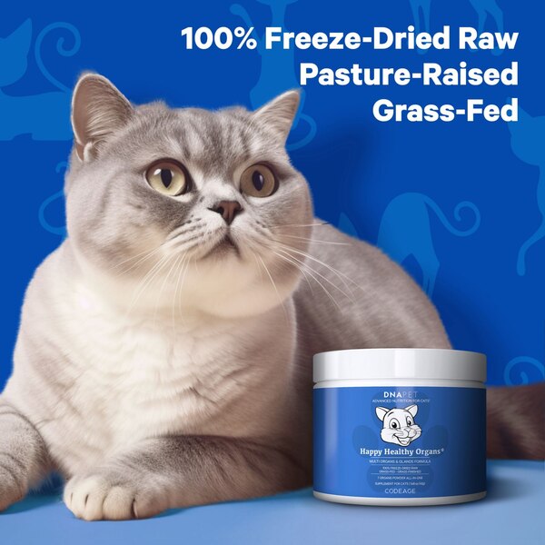 DNA PET Happy Healthy Organs for Cats, 1.48 oz