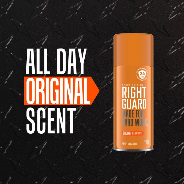 Right Guard Deodorant Aerosols, Original All Day Scent, Twin Pack 8.5 OZ
