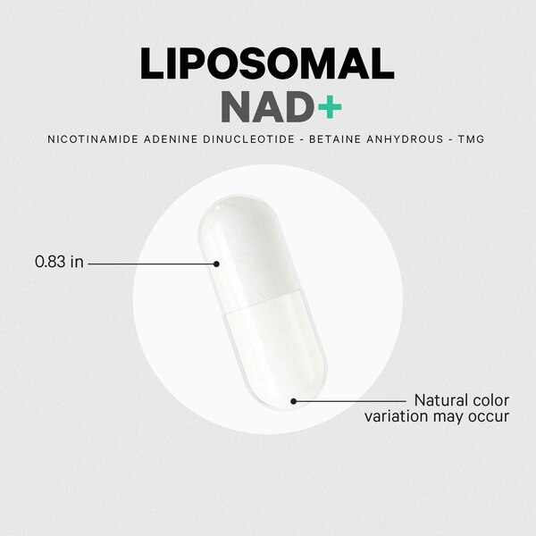 Codeage Liposomal NAD+ Capsules, 60 CT