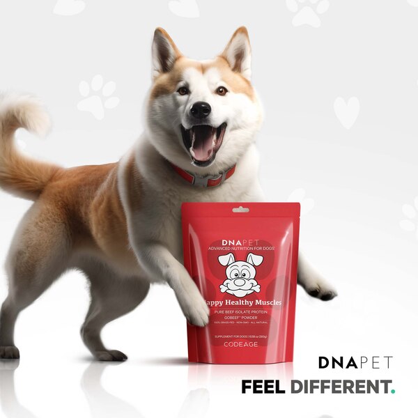DNA PET Happy Healthy Muscles Powder for Dogs, 10.6 oz