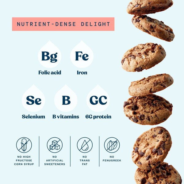 Mommy Knows Best Mini Lactation Chocolate Chip Cookies, 10 OZ