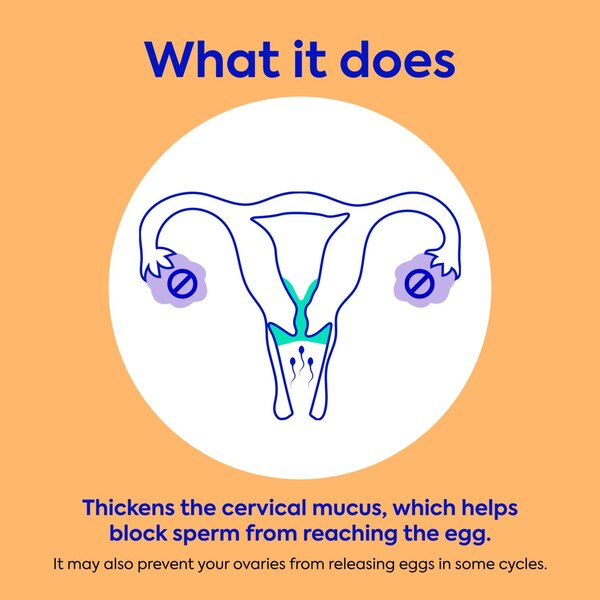 Opill Daily Oral Contraceptive, Birth Control Pill