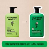 California Naturals Super Moisture Shampoo, 16.5 OZ, thumbnail image