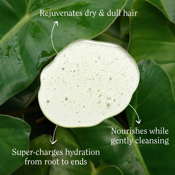 California Naturals Super Moisture Shampoo, 16.5 OZ