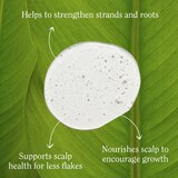California Naturals Length & Strength Re:Gro Anti-Thinning Shampoo, 16.5 OZ, thumbnail image