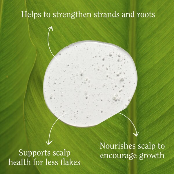 California Naturals Length & Strength Re:Gro Anti-Thinning Shampoo, 16.5 OZ