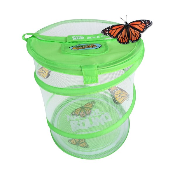 Nature Bound Live Bug & Butterfly Kit