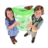 Nature Bound Live Bug & Butterfly Kit, thumbnail image