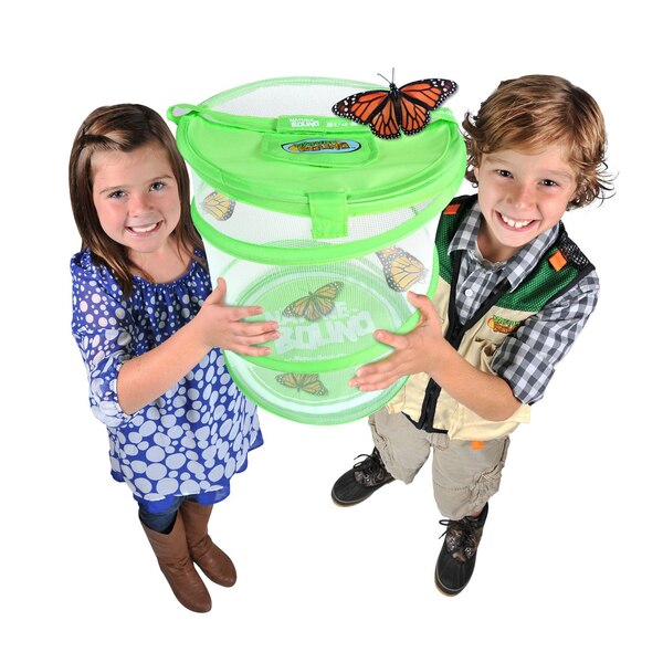 Nature Bound Live Bug & Butterfly Kit