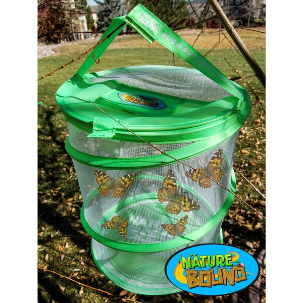 Nature Bound Live Bug & Butterfly Kit
