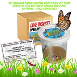 Nature Bound Live Bug & Butterfly Kit, thumbnail image