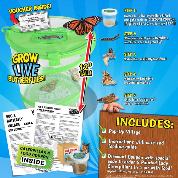 Nature Bound Live Bug & Butterfly Kit